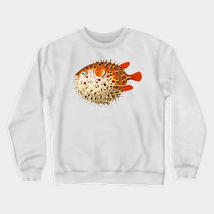 Colorful and vintage chubby fish for illustration Crewneck Sweatshirt